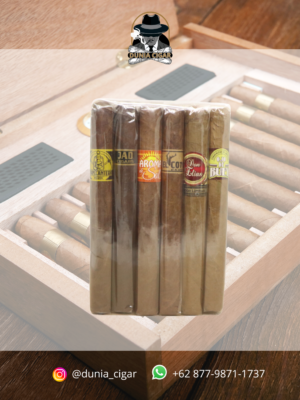 6 SAMPLER CIGAR