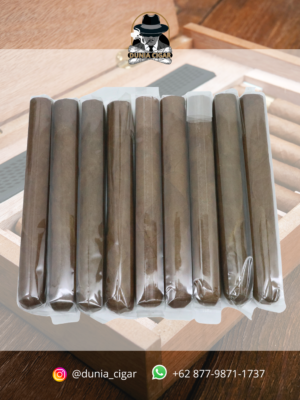 CIGAR